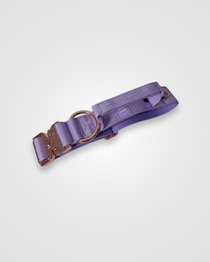 Lilac nylon dog collar displayed on a light gray background.