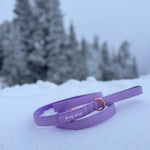 Dog on a lilac nylon dog leash outdoors in a snowy setting.