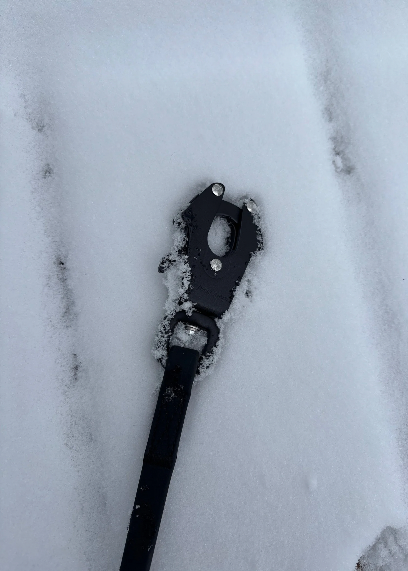 Waterproof PVC long line dog leash outdoors in the snow.