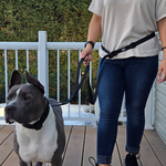 Person walking a dog using a multi-way hands-free dog leash on a wooden deck.