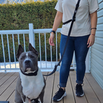 Person standing on a wooden deck with a dog attached to a multi-way hands-free leash.