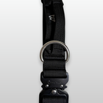 Black dog collar with metal buckle on a light gray background