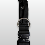 Black dog collar with metal buckle on a light gray background