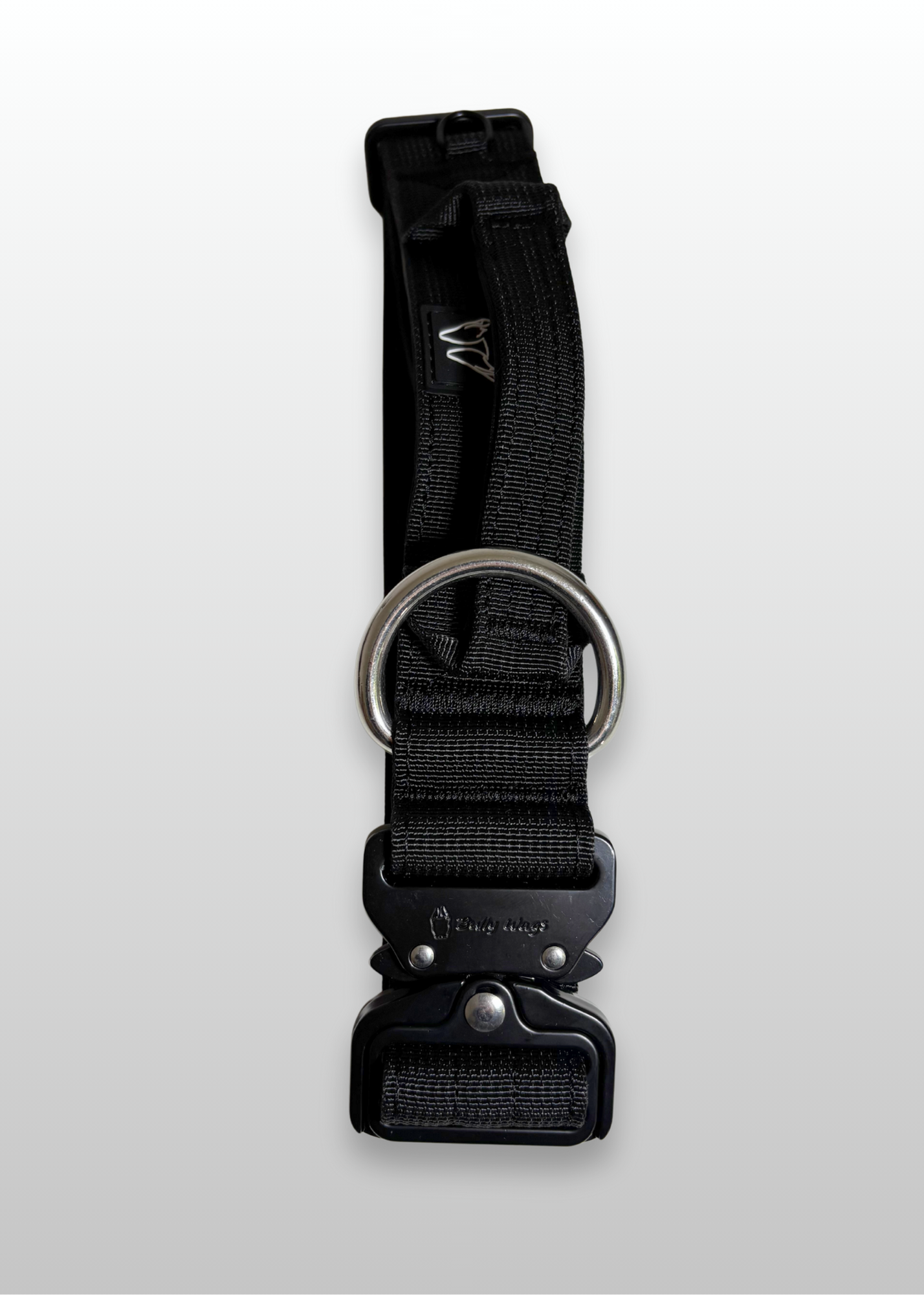 Black dog collar with metal buckle on a light gray background
